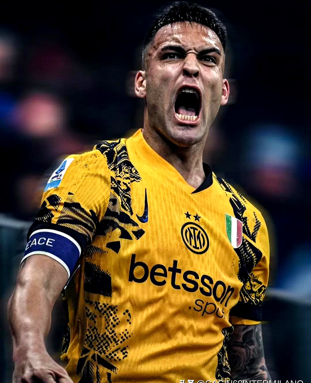 朴柯文个人简历荷兰 -九游中国官网